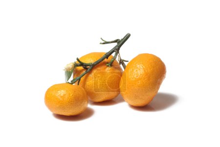 Photo for Orange fruit with leaf isolated on white background. - Royalty Free Image