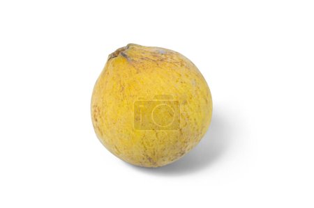 Photo for Fresh Yellow Sentol fruit isolated on white background, - Royalty Free Image