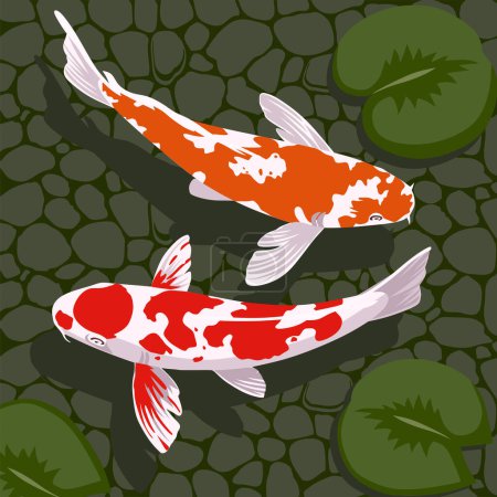 Téléchargez les illustrations : Un couple de poissons koï avec nénuphars - en licence libre de droit
