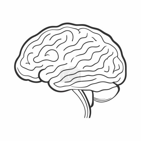 Ilustración de Cerebro humano esbozado vector ilustración. - Imagen libre de derechos