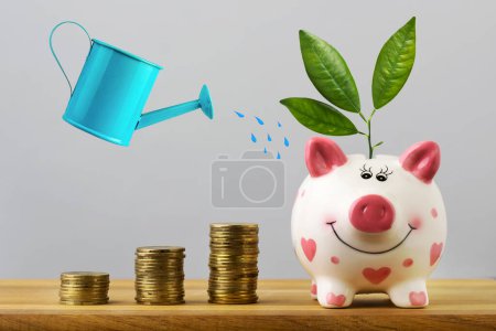 Watering can, watering with a sprout with leaves in piggy bank. On a gray background. Savings accumulation concept. Growth concept. Care. Business. Lifestyle.