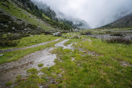 Téléchargez les photos : Vue estivale de la vallée de montagne alpine avec ruisseau sinueux et lac glaciaire. Sulzenau Alm, Alpes Stubai, Autriche. - en image libre de droit