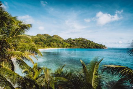 Photo for Beautiful tropical exotic Anse Intendance beach on Mahe island, Seychelles. Lush foliage of coconut palm trees in foreground. - Royalty Free Image