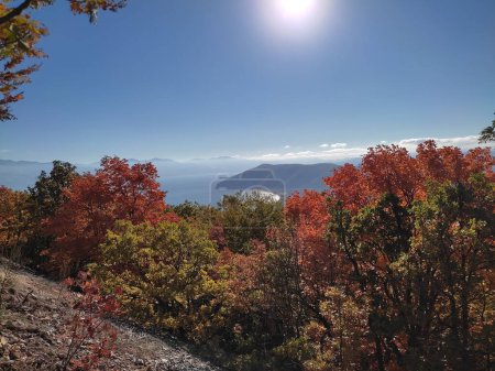 Téléchargez les photos : Vue du lac Prespa sur de beaux arbres colorés en automne dans le parc national de Galichica, Macédoine - en image libre de droit