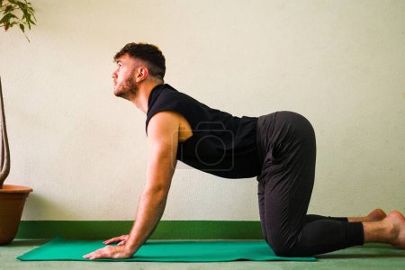 Photo for Hispanic man doing yoga in cow cat position - Royalty Free Image