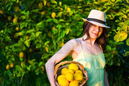 Téléchargez les photos : Jolie fille cultivant des citrons dans le jardin avec un panier plein de citrons - en image libre de droit