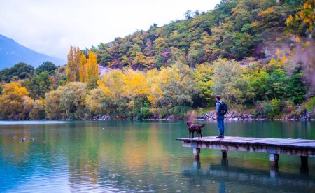 Téléchargez les photos : L'homme et son chien regardent l'horizon sur la jetée du lac en automne - en image libre de droit