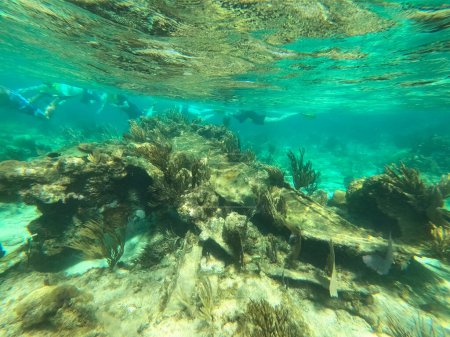Eine Gruppe von Menschen schnorchelt in der Nähe eines versunkenen Schiffes unter dem Meer. Schönes Unterwasser-Korallenriff am karibischen Meer am Honeymoon Beach auf St. Thomas, USVI - Reisekonzept