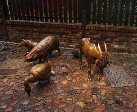 Téléchargez les photos : Wroclaw, Pologne - 19 octobre 2023 : Statues d'animaux de ferme en bronze dans la rue Yatki - site commercial médiéval préservé avec boutiques de souvenirs à Wroclaw - en image libre de droit