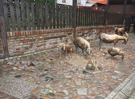 Téléchargez les photos : Wroclaw, Pologne - 19 octobre 2023 : Statues d'animaux de ferme en bronze dans la rue Yatki - site commercial médiéval préservé avec boutiques de souvenirs à Wroclaw - en image libre de droit
