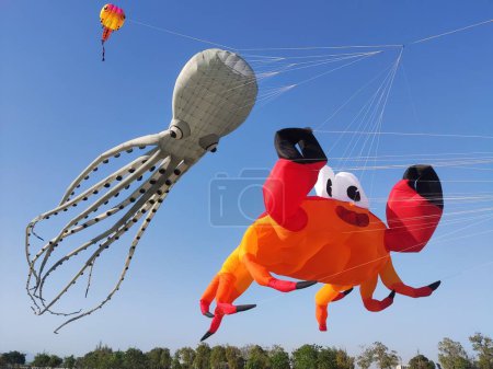 Square large kite flying, big crab, big octopus