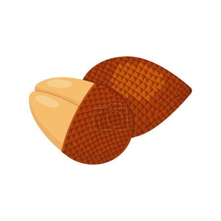 Illustration for Salak set design with isolated whole and halved sweet tropical snake fruit. Exotic vegan food in flat detailed vector style for packaging, designs, decorative elements - Royalty Free Image