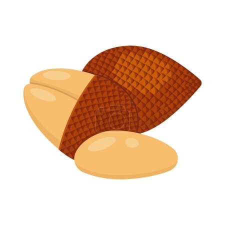 Illustration for Salak set design with isolated whole and halved sweet tropical snake fruit. Exotic vegan food in flat detailed vector style for packaging, designs, decorative elements - Royalty Free Image