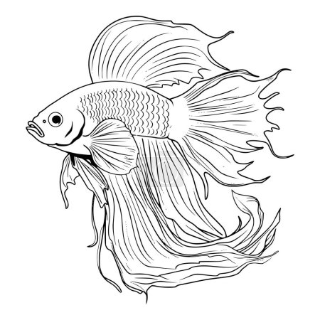 Téléchargez les illustrations : Pages à colorier Betta Fish pour enfants - en licence libre de droit