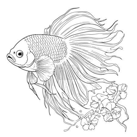 Téléchargez les illustrations : Pages à colorier Betta Fish pour enfants - en licence libre de droit