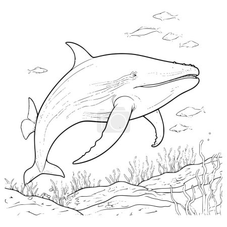 Téléchargez les illustrations : Coloriages de baleine bleue Dessin pour enfants - en licence libre de droit