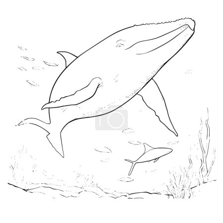 Téléchargez les illustrations : Coloriages de baleine bleue Dessin pour enfants - en licence libre de droit