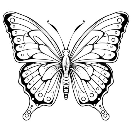 Téléchargez les illustrations : Papillons volent Coloriage Pages Dessin pour les enfants - en licence libre de droit