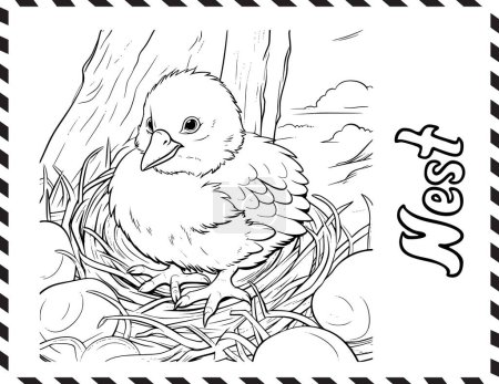 Ilustración de Pollitos en el nido para colorear libro para colorear páginas para niños - Imagen libre de derechos