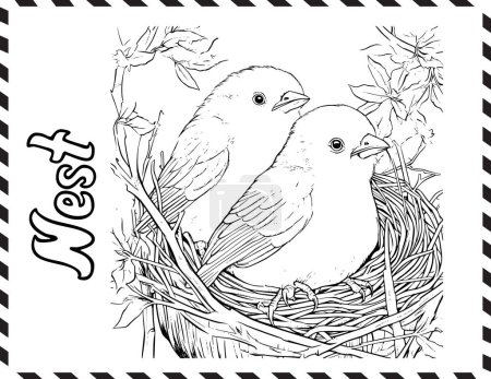 Téléchargez les illustrations : Poussins dans le nid Coloriage Livre Coloriage Pages pour enfants - en licence libre de droit