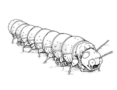 Illustration for Cutworm Coloring Page For Kids - Royalty Free Image