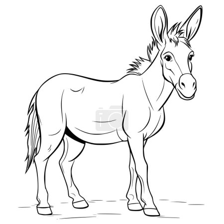 Illustration for Donkey Coloring Pages Drawing For Kids - Royalty Free Image