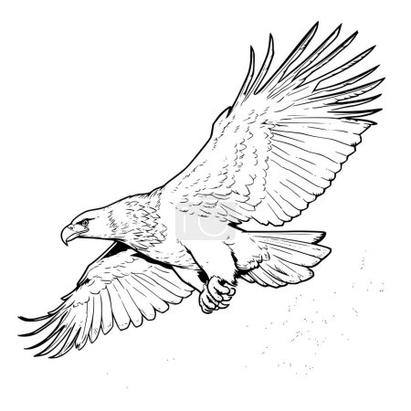 Adler fliegen Malvorlage Zeichnung für Kinder