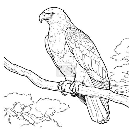 Illustration for Eagle On A Branch Coloring Page Drawing For Kids - Royalty Free Image