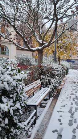 Téléchargez les photos : Neige en ville, empreintes de pas dans la neige, banc enneigé et arbre à Lyon Croix-Rousse - en image libre de droit