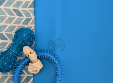 Dogs treat and plastic toys on white and turquoise towel and acqua background
