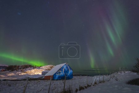 Foto de Hermosas luces del norte sobre una casa pintada en la isla de Kvaloya cerca de Tromso. luces polares bailando sobre un granero con un pez, luz verde en el cielo en invierno, Aurora Boreal en Troms, Noruega. luces de colores celestiales sobre el campo nevado - Imagen libre de derechos