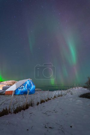 Foto de Hermosas luces del norte sobre una casa pintada en la isla de Kvaloya cerca de Tromso. luces polares bailando sobre un granero con un pez, luz verde en el cielo en invierno, Aurora Boreal en Troms, Noruega. luces de colores celestiales sobre el campo nevado - Imagen libre de derechos