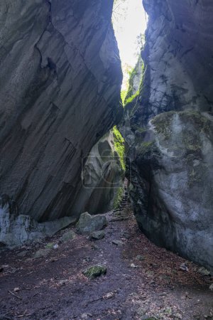 Téléchargez les photos : Une grotte qui est ouverte au sommet et laisse entrer la lumière à travers la fissure, envahie de plantes. Le Kirchle près de Dornbirn est un lieu de conte de fées, caché dans la forêt sur une colline. Des blocs et de la mousse s'y trouvent - en image libre de droit