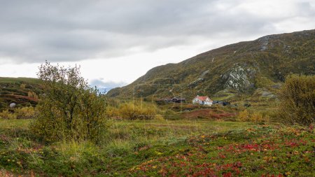 rough nature outdoor from colorful house by the ocean, red and yellow houses on the shore of the North Atlantic. Stony landscape with wooden holiday home on the islands of Hillesoy, village Sommaroy. Holidays in Troms, Northern Norway.