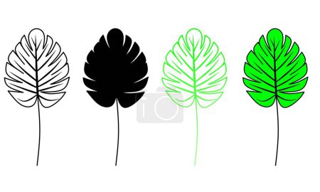 Set of black and green monstera leaves. Hand drawn illustration Minimalist art. suitable for modern botanical decoration