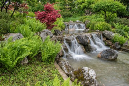 Wiednia, Austria. 13 maja 2023 urzekający spokój urzekający japońskim parkiem krajobrazowym z majestatycznym wodospadem kaskadowym z kamiennej ściany, delikatnie obejmującym wybiórcze skupienie