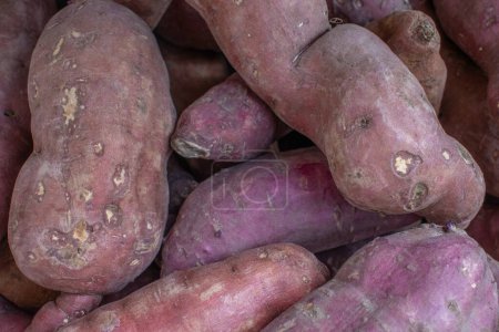 Ein Nahaufnahme-Archivfoto von Süßkartoffeln, die sich in einem Einzelhandelsgeschäft stapeln und ihre ansprechenden Farben und ihre Bereitschaft zum Kochen hervorheben.