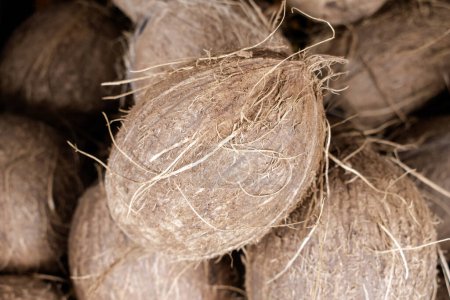 Téléchargez les photos : Une photo d'une vue rapprochée d'une grande quantité de noix de coco brunes dans un bac. (focus sélectionné) - en image libre de droit