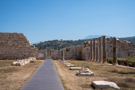 archaeological site of the ancient greek city of rhodes.