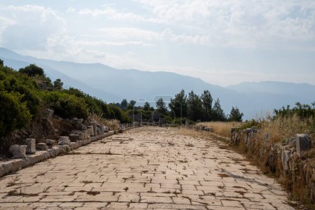 Téléchargez les photos : Ruines antiques de la ville antique d'Ephèse, dinde - en image libre de droit