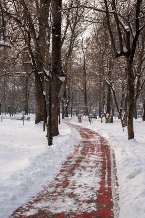 Winterpark mit schneebedeckten Bänken