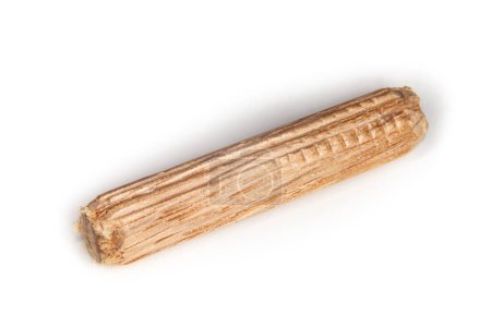 clavijas de roble único sobre fondo blanco, clavijas utilizadas para unir dos piezas de madera, junta, carpintería