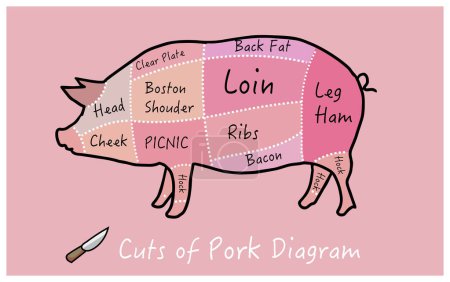 Illustration for Butcher cut main cuts of pork - Royalty Free Image