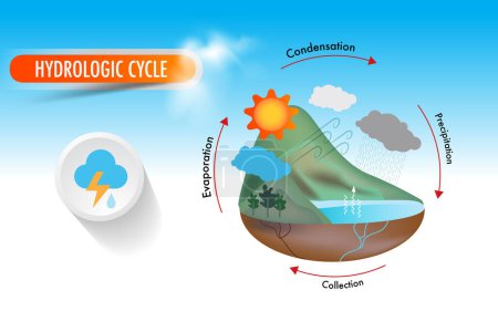 Illustration for The hydrologic cycle circulation of water in the Earth-Atmosphere system - Royalty Free Image