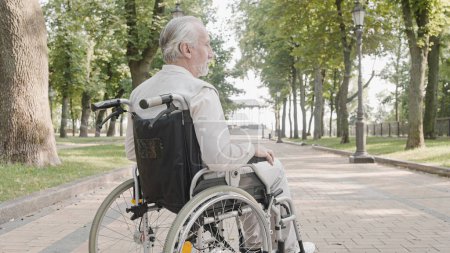Foto de Pensionista masculino en silla de ruedas en el parque, vida con discapacidad, hogar de ancianos - Imagen libre de derechos