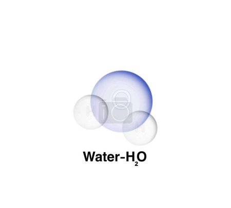 Téléchargez les photos : Les liaisons covalentes polaires de l'eau, Modèle planétaire faiblement positif et négatif de la molécule d'eau, Formule structurale et moléculaire de la molécule d'eau, Structure moléculaire de l'eau - en image libre de droit