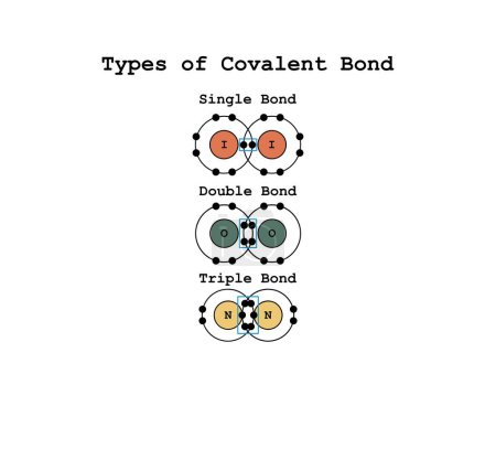 Un enlace covalente es un enlace químico que implica el intercambio de electrones para formar pares de electrones entre átomos, Diseño Científico de Tipos de Vínculos Covalentes, Polares, Tipos de Vínculos Covalentes