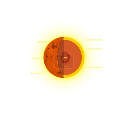 Photo for Anatomy of the Sun, The sun is basically a giant ball of gas and plasma, The inner layers are the Core, Radiative Zone and Convection Zone, layers of the sun - Royalty Free Image