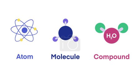 atomes, molécules, composés, composants fondamentaux de la matière, interactions chimiques, éléments ont des liaisons chimiques, structure des atomes, formation de molécules, propriétés des composés, modèle chimique