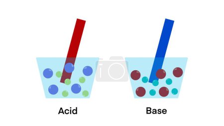 Reacción ácida y base, Indicadores de papel de pH de tornasol en contenedor químico, Papel de tornasol azul y rojo, En solución ácida, azul se vuelve rojo, En solución básica, rojo se vuelve azul